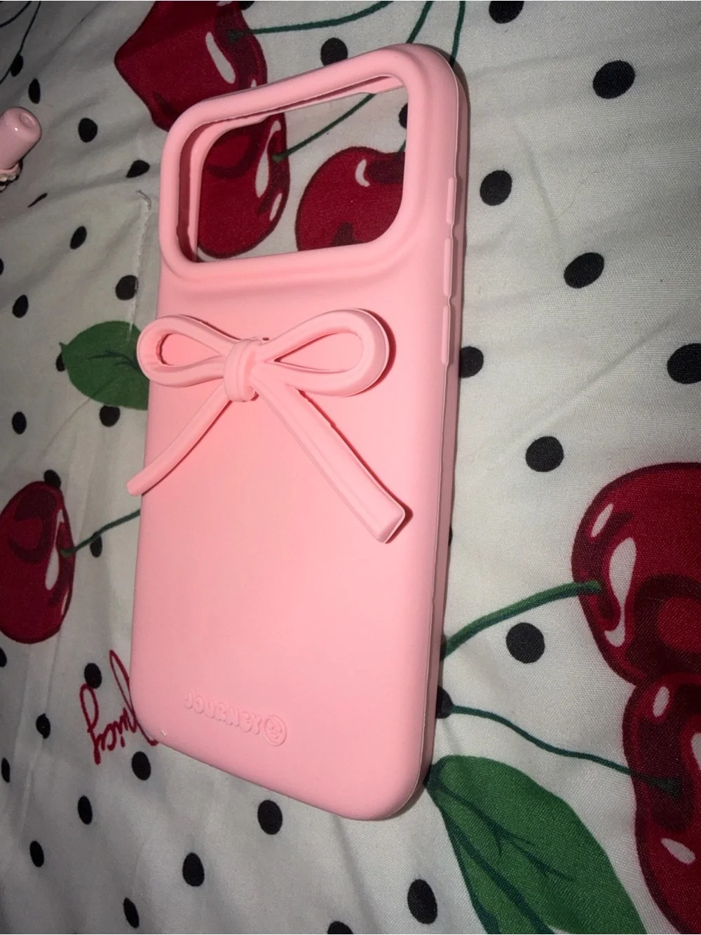 iPhone 17 Pro Max Case